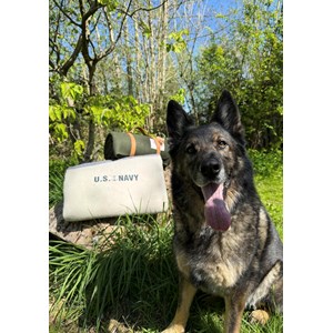 Plaid en laine tartan xl us navy