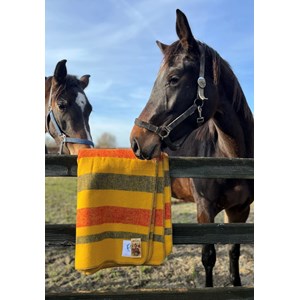 Plaid en merino équestre new market