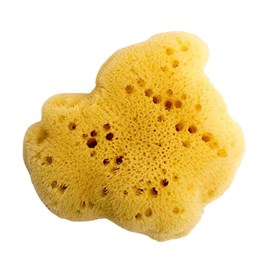 Éponge naturelle et écologique en soie