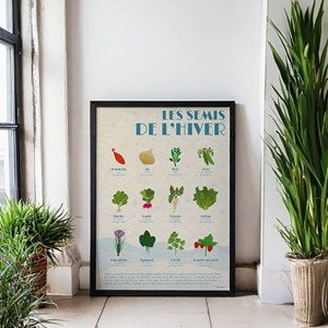 Poster les semis d'hiver