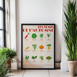 Poster - les semis d'automnes