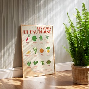 Poster - les semis d'automnes