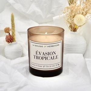 Bougie parfumée évasion tropicale 180g