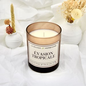 Bougie parfumée évasion tropicale 180g