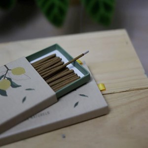 Coffret encens bougie herbivore x bloom