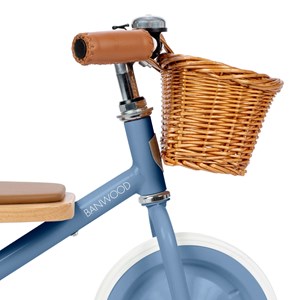 Tricycle blue