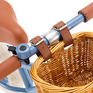 Draisienne first go blue