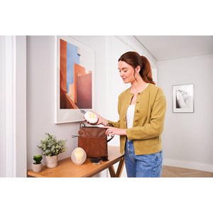 Medela - tire-lait électrique simple