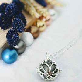 Bola cage - bille grise - lotus