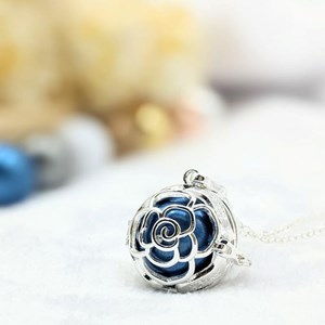 Bola cage - bille bleue - rosa