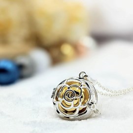 Bola cage - bille dorée - rosa