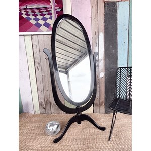 Igor, le miroir pivotant n°650