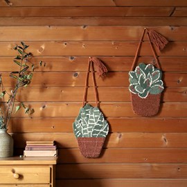 Wall hanging little aloe