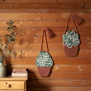 Wall hanging little aloe