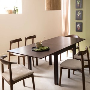 Table à manger allonges