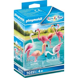 Family fun - groupe de flamants roses