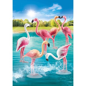 Family fun - groupe de flamants roses