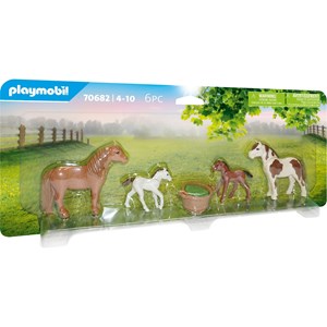 Country poneys avec poulains