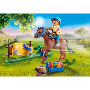 Country cavalier avec poney brun