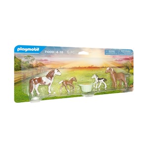 Country 2 poneys islandais et poulains