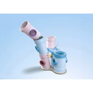 Junior et disney château de cendrillon