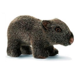Anima - peluche wombat bebe 23cm