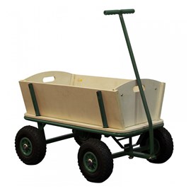 Chariot billy beach vert sunny