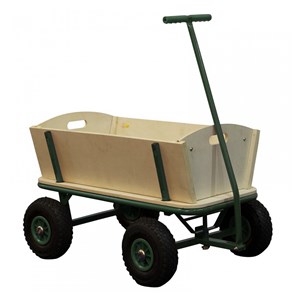 Chariot billy beach vert sunny