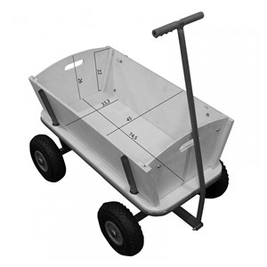 Chariot billy beach vert sunny