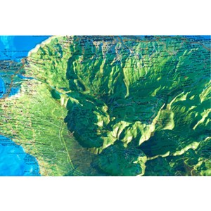 La réunion