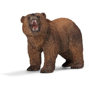 Wild life ours grizzly