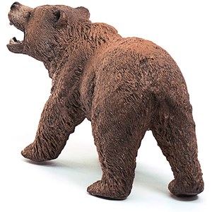 Wild life ours grizzly