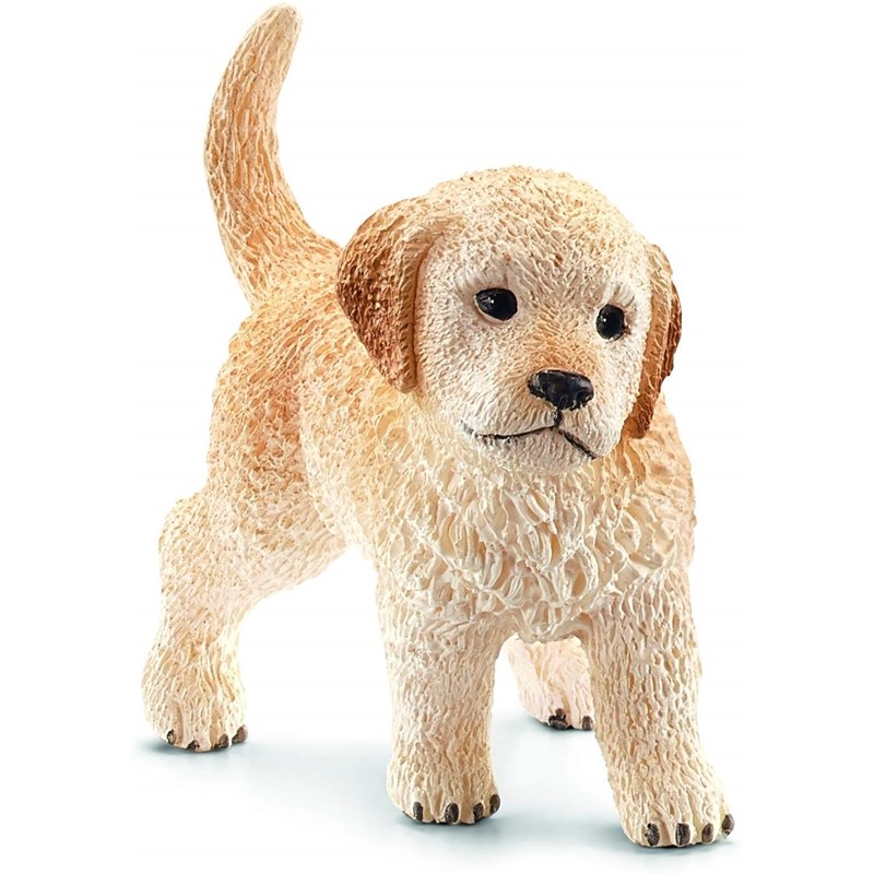 Chiot golden retriever