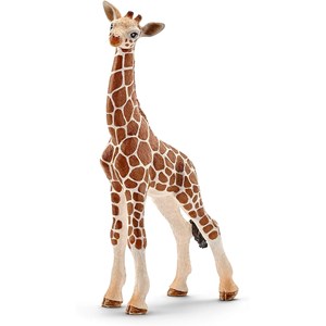 Wild life - bébé giraffe