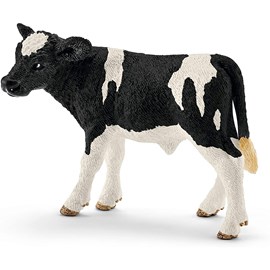 Veau holstein