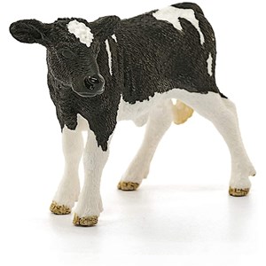 Veau holstein