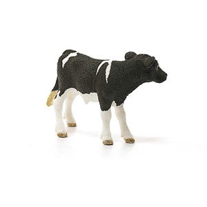 Veau holstein