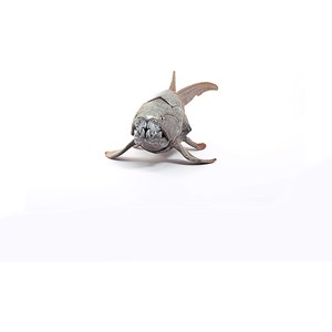 Wild life dunkleosteus