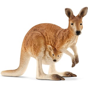 Wild life kangourou
