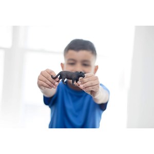 Wild life panthère noire