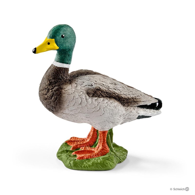 Animal miniature canard