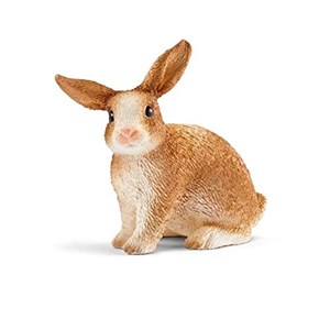 Animal miniature lapin