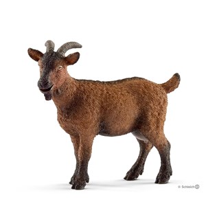 Animal miniature chèvre
