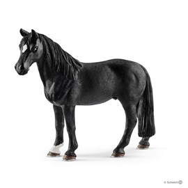 Hongre tennessee walker