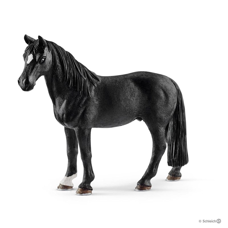 Hongre tennessee walker