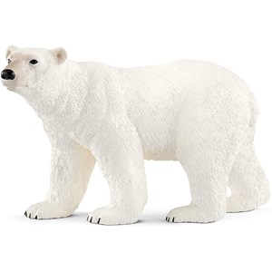 Ours polaire