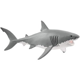 Wild life requin blanc