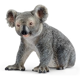 Animal miniature koala