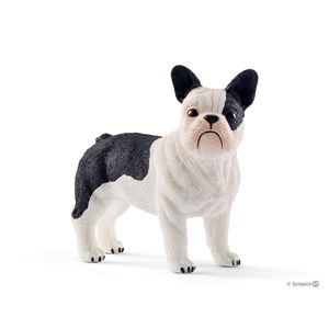 Bouledogue français