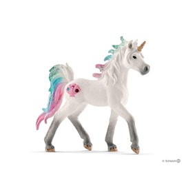 Licorne des mers poulain